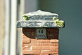 Ingresso carrabile tipo E