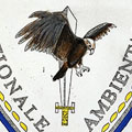 guardia nazionale ambientale